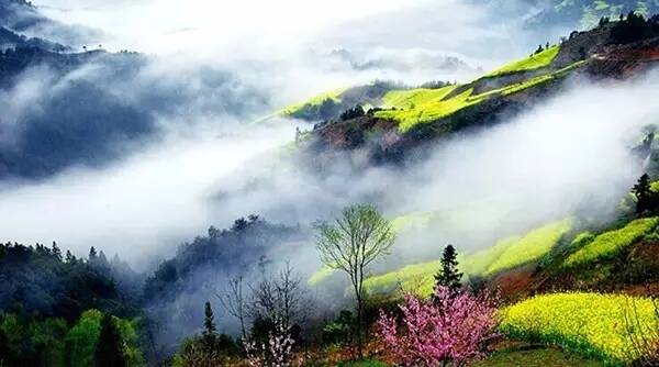 一生痴绝处，无梦到徽州！